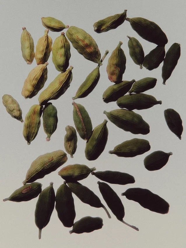 (100 ml) Irreplaceable Iris Eau De Parfum (100 ml) Irreplaceable Iris Eau De Parfum