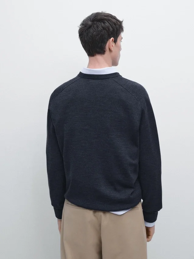 Trui van merinowol met ronde hals Trui van merinowol met ronde hals
